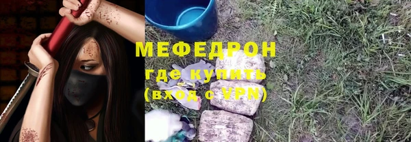стаф Аркадак