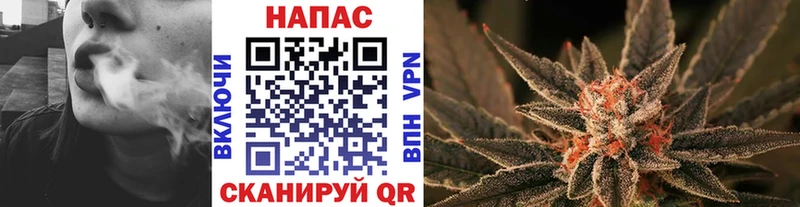 Шишки марихуана семена Новоалтайск